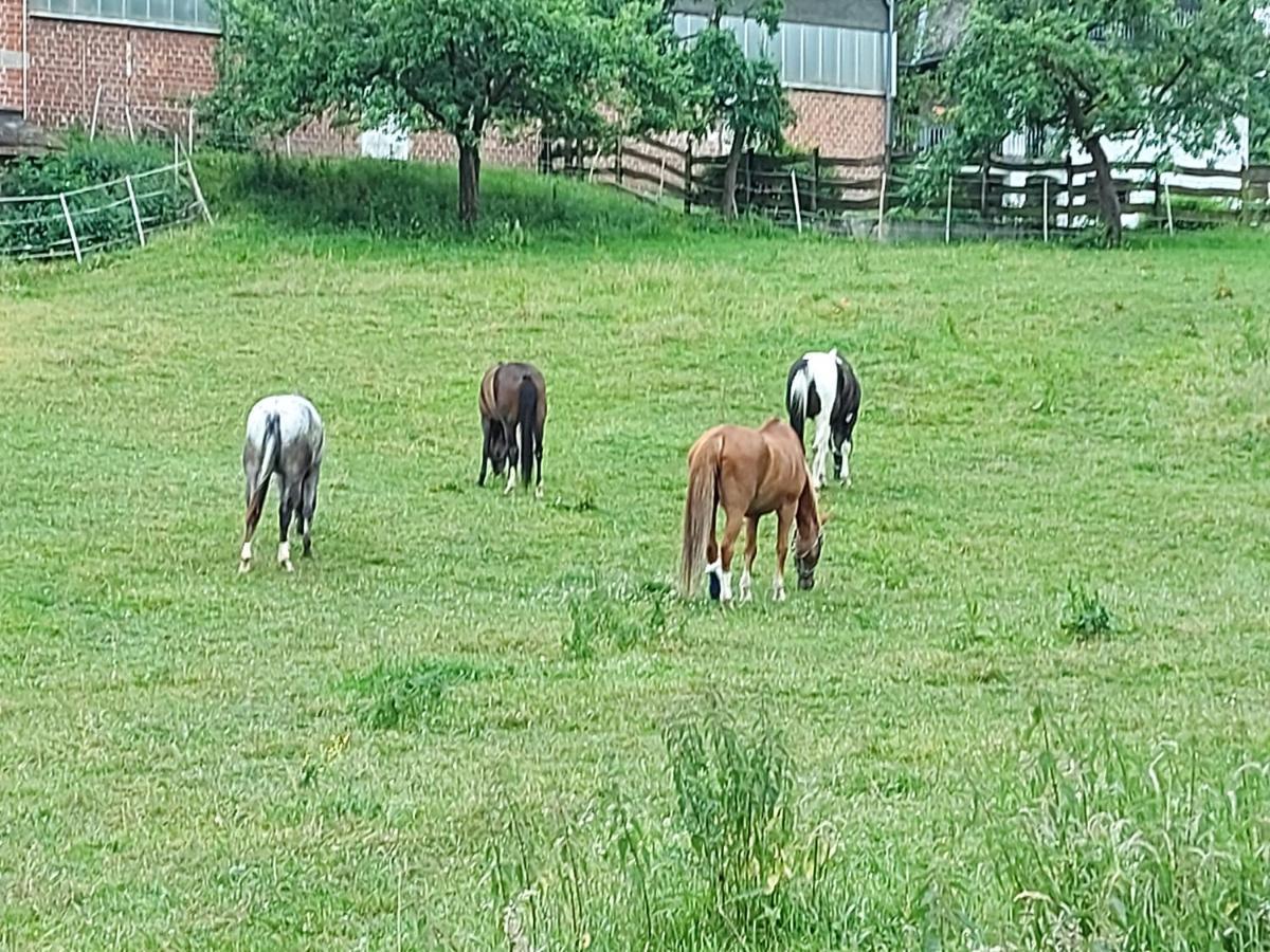 Ferien Auf Dem Land Apartment Warstein Bagian luar foto