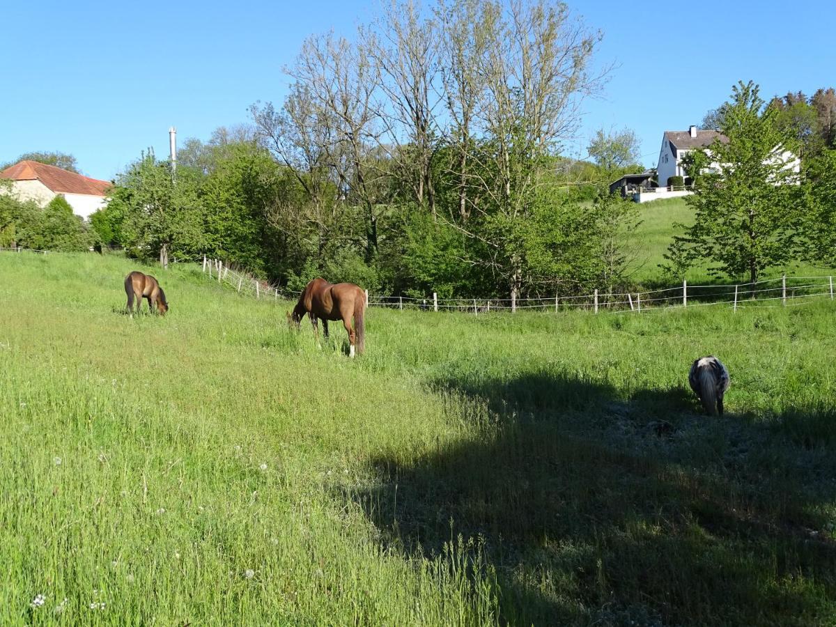 Ferien Auf Dem Land Apartment Warstein Bagian luar foto